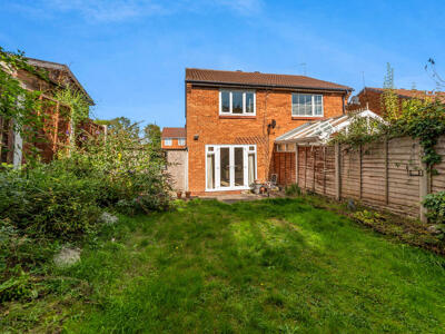 Picture 9